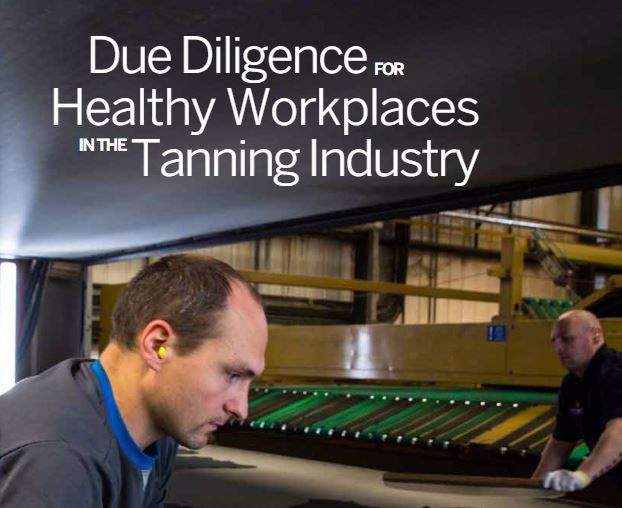 Due Diligence for Healthy Workplaces in the Tanning Industry – Survey Results